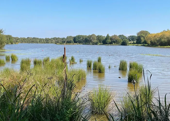 Grand Fay A 10 Min Des Plages *